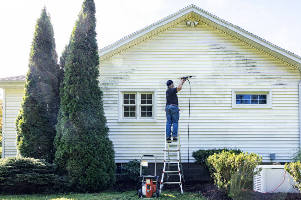  Cadillac, MI Pressure Washing Pros
