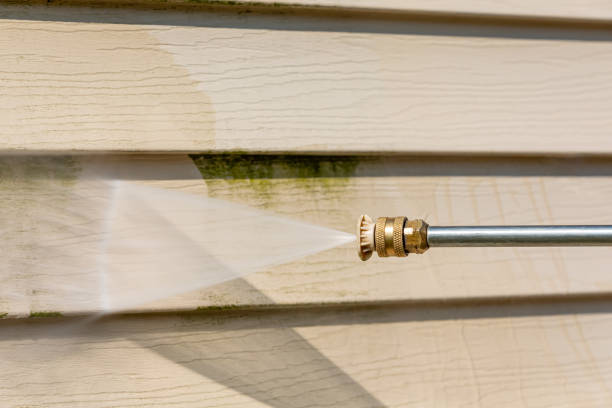 Best Roof Power Washing Services  in Cadillac, MI